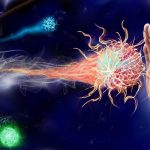 Facts About Human Immune System