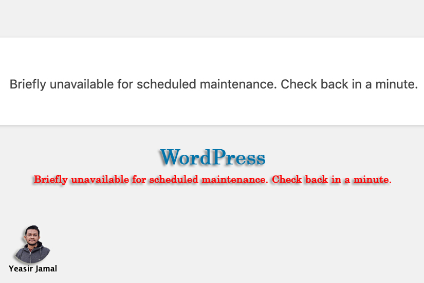 How to Fix “Briefly unavailable for scheduled maintenance. Check back in a minute.”